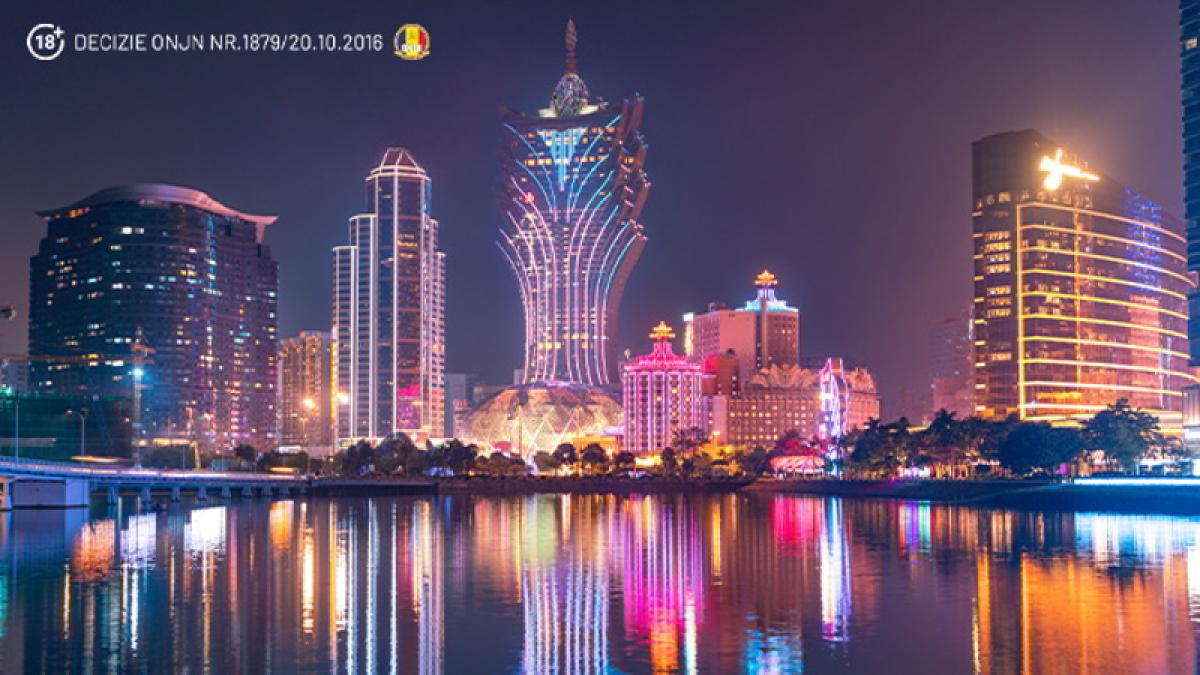 stiridiaspora_67033600