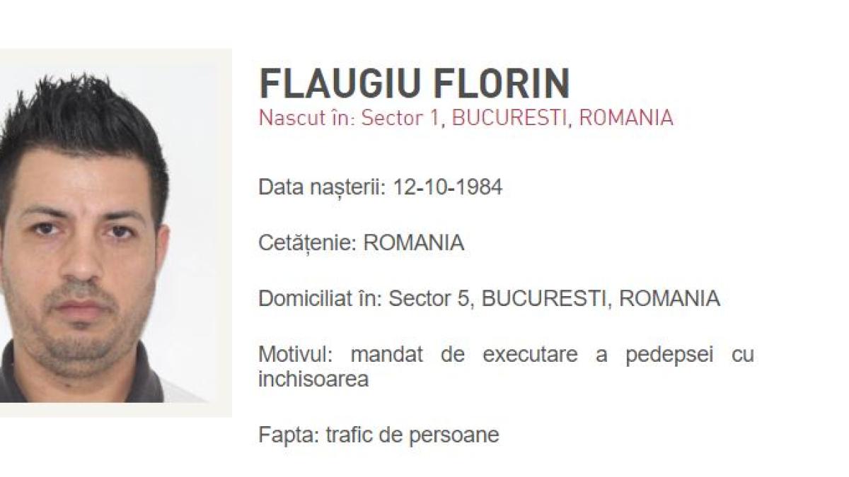 florin-fugiu_41347000