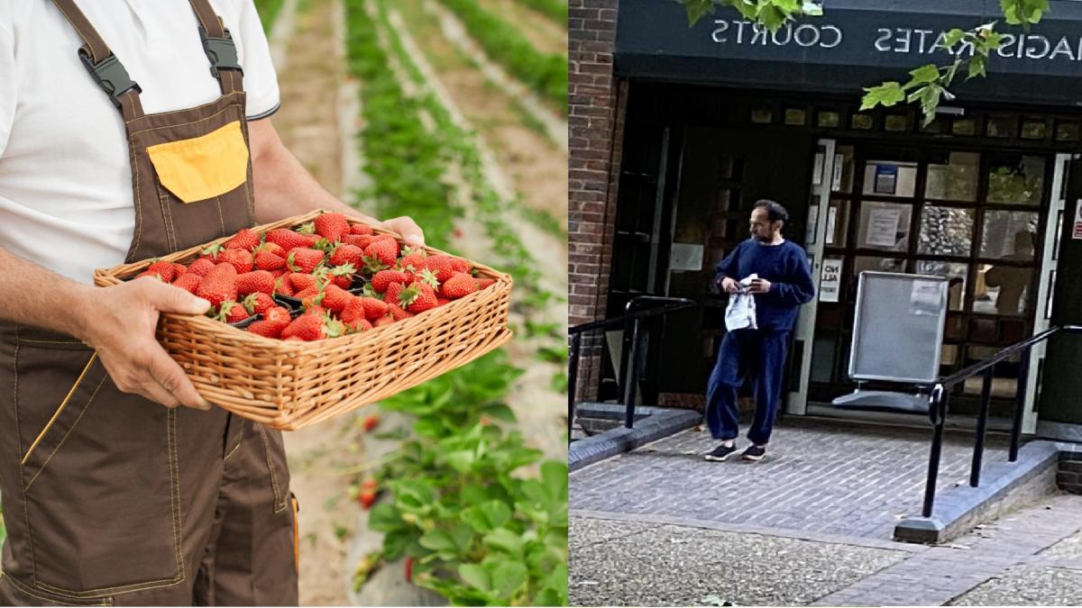 albert-c-romn-aramta-capsuen_95855000