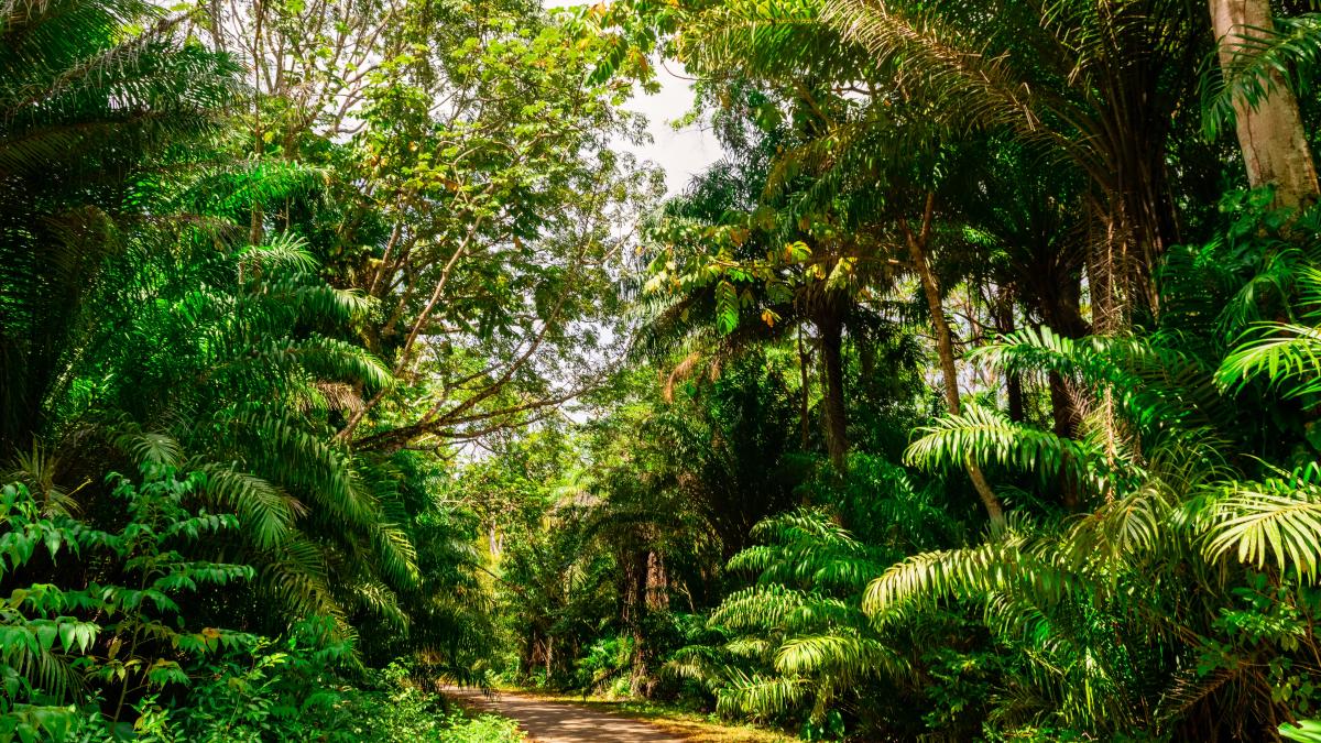 kenrick-baksh-pcmncprqfbu-unsplash