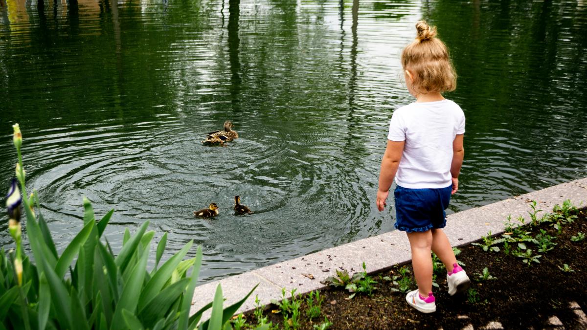 ellery-sterling-x3jioivzd6s-unsplash_87818800