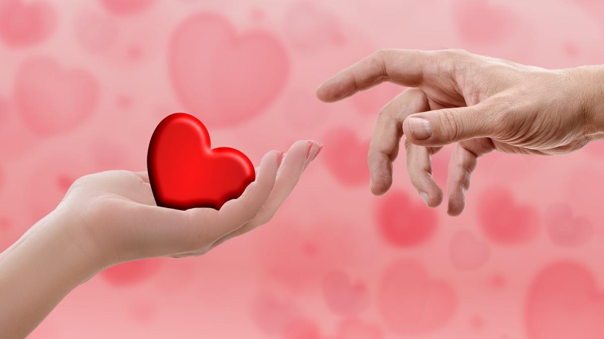 heart-3149536_1920_48783000