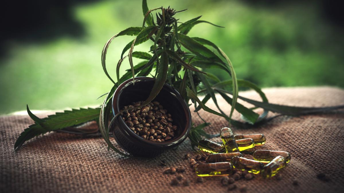 cbd-4470952_1920_84294200