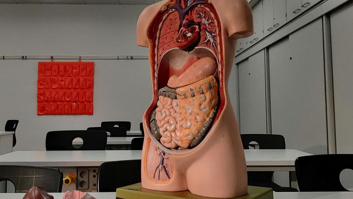 kevin-kandlbinder-rkdejr2z6pm-unsplash_56018800