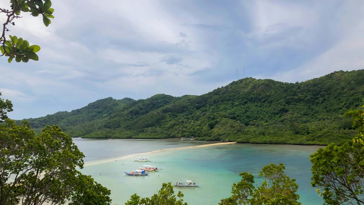 carla-francisco-2sdcrsu3any-unsplash_15882900