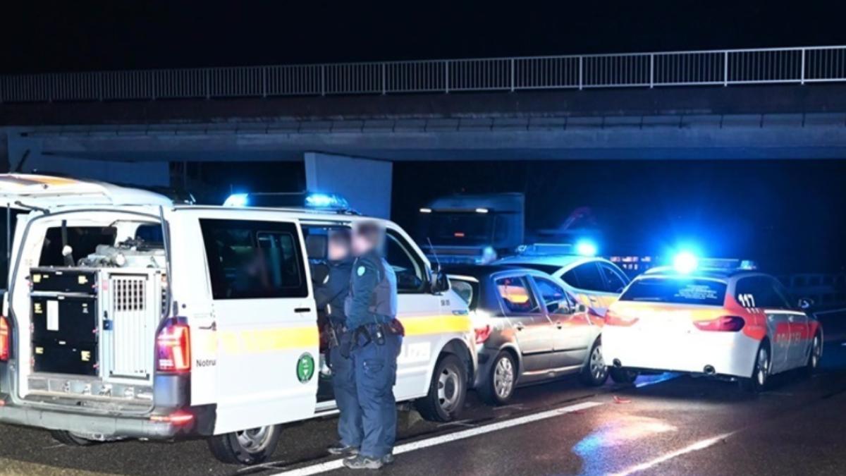 romani-arestati-elvetia-urmarire_65732500