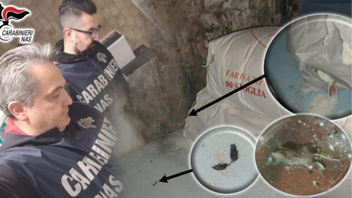 trei-restaurante-populare-din-bologna--inchise--unul-dintre-ele-foloseau-painea-veche-muscata-de-clienti-pentru-pesmet_10719700