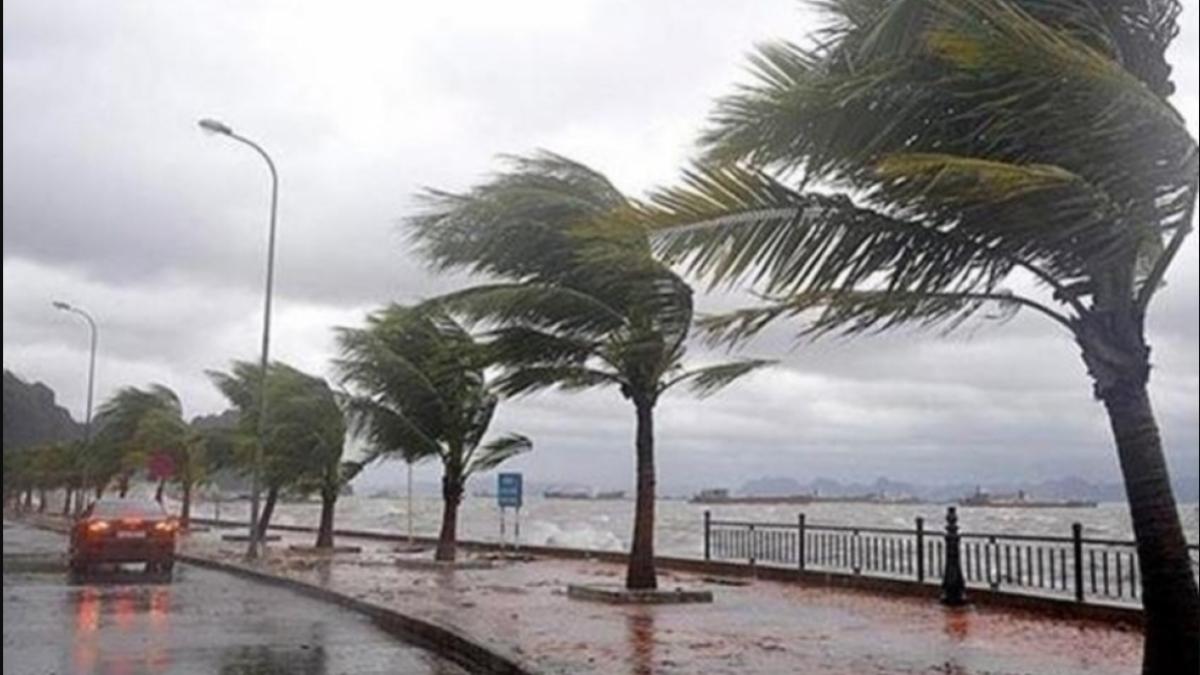 furtuna-monica-franta_70749300