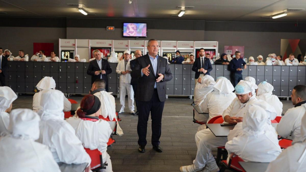 nicolae-ciuca-romani-abator-spania_02837600