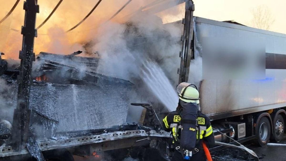 sofer-roman-germania-tir-cuprins-flacari_40325200