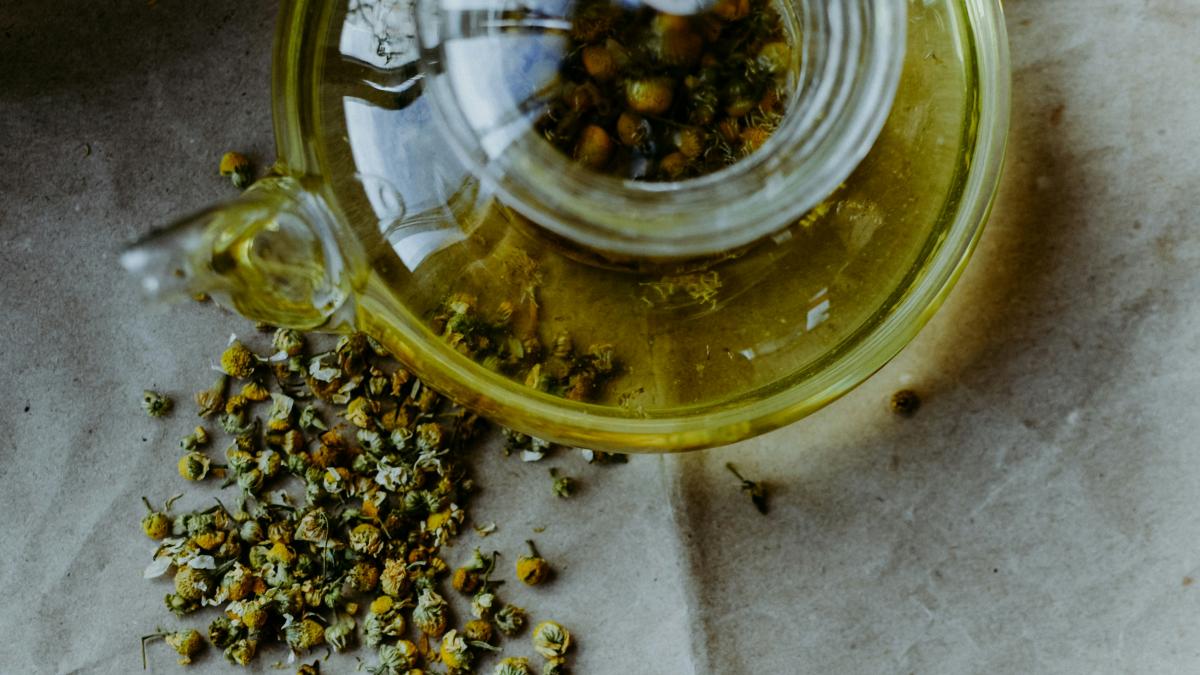 irene-ivantsova-hqoxfz9ddwe-unsplash_36451900