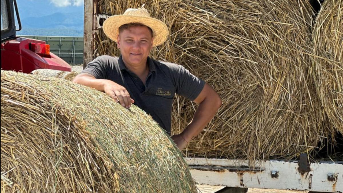 andrei-nicola-roman-londra_50015700