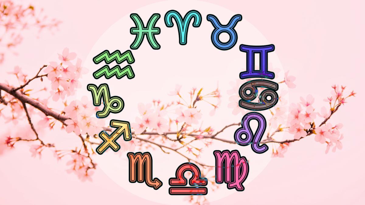 mi-min-pkpqobp11jc-unsplash_45880400