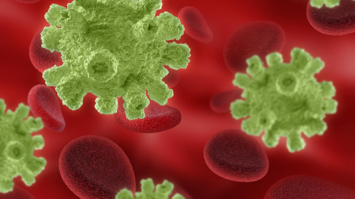 virus_62926400_53977700