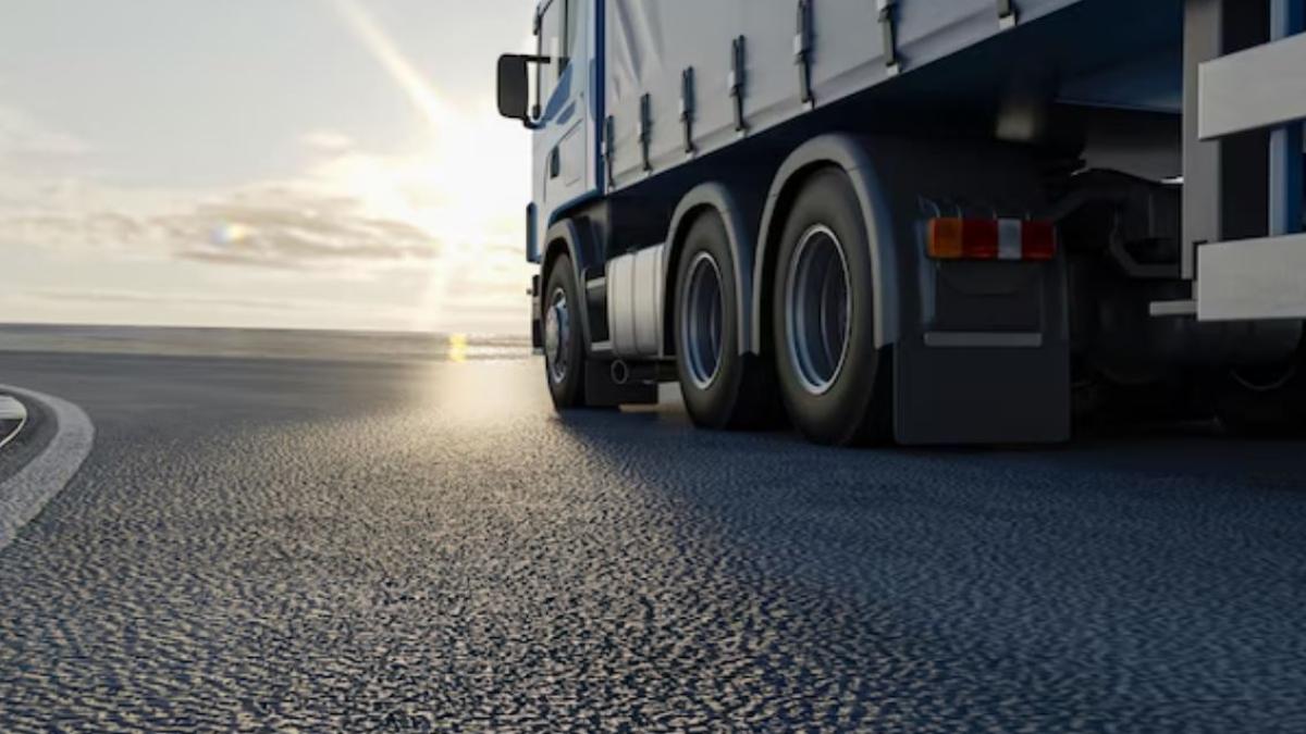 sofer-roman-de-camion--amendat-dur-in-polonia--la-urmatoare-abatere-ar-putea-ramane-fara-permis-de-conducere