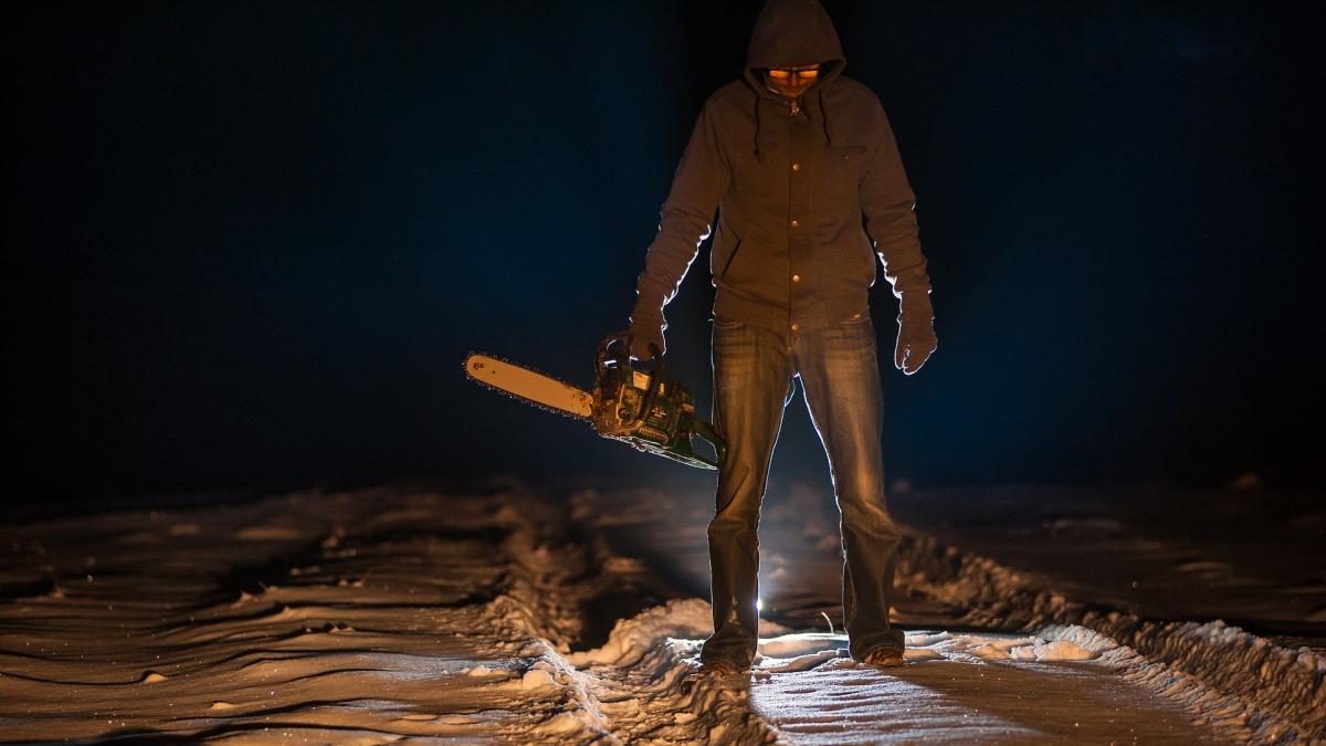 sase-romani-din-franta--inchisi-pentru-o-serie-de-furturi--prc-e2prc-80prc-9dbanda-cu-drujbeprc-e2prc-80prc-9d-jefuia-magazine-de-motocultura_20578200