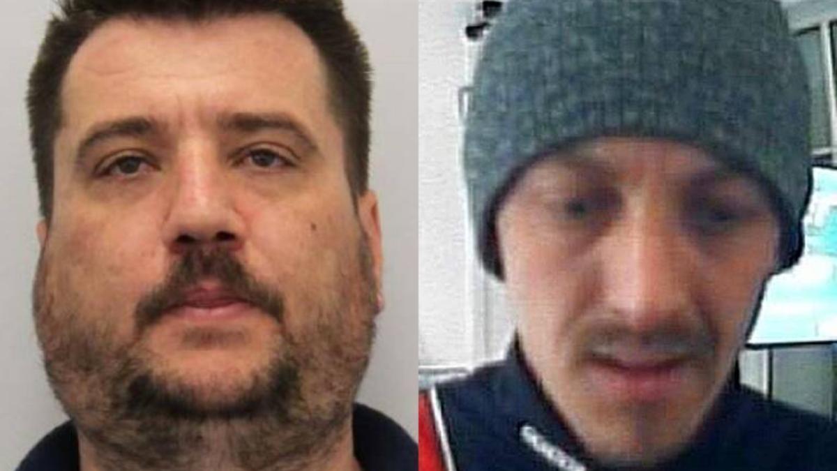 hoti-romani-austria_63297400