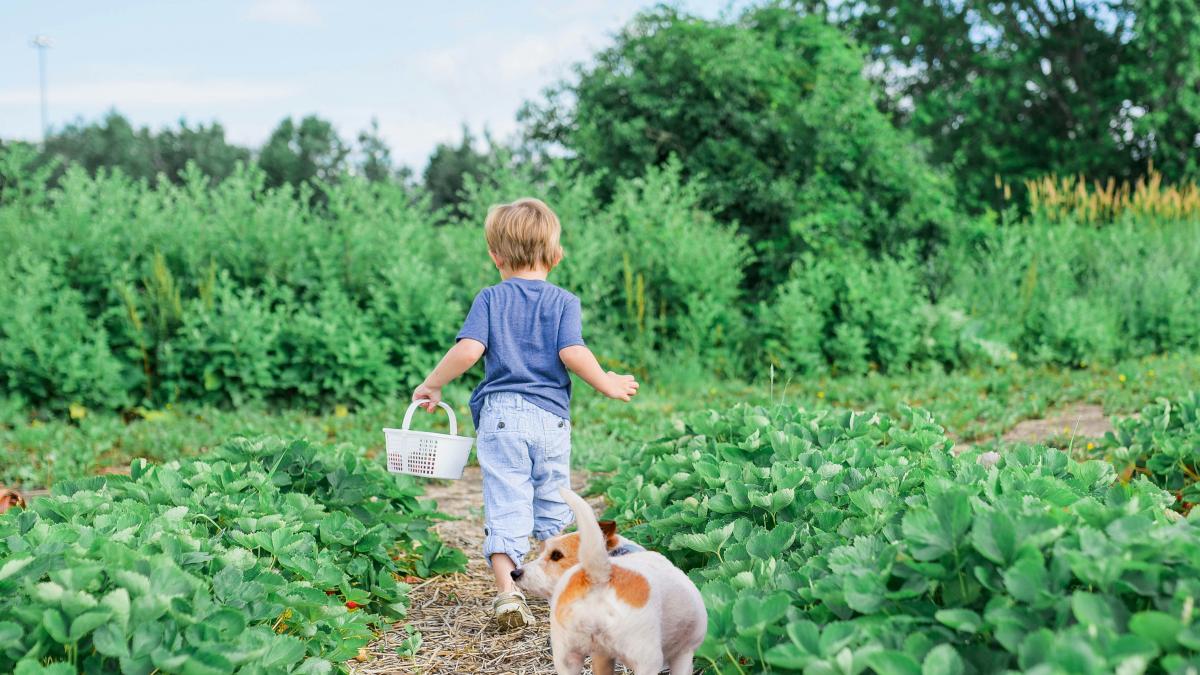 paige-cody-z8gkie4kz0y-unsplash_71588500