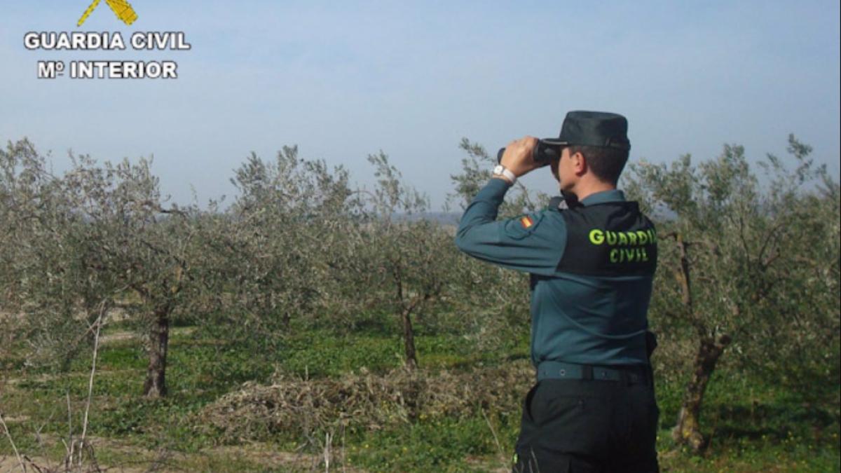 garda-civila-spania-politie-spania-guarda-civil_28395800