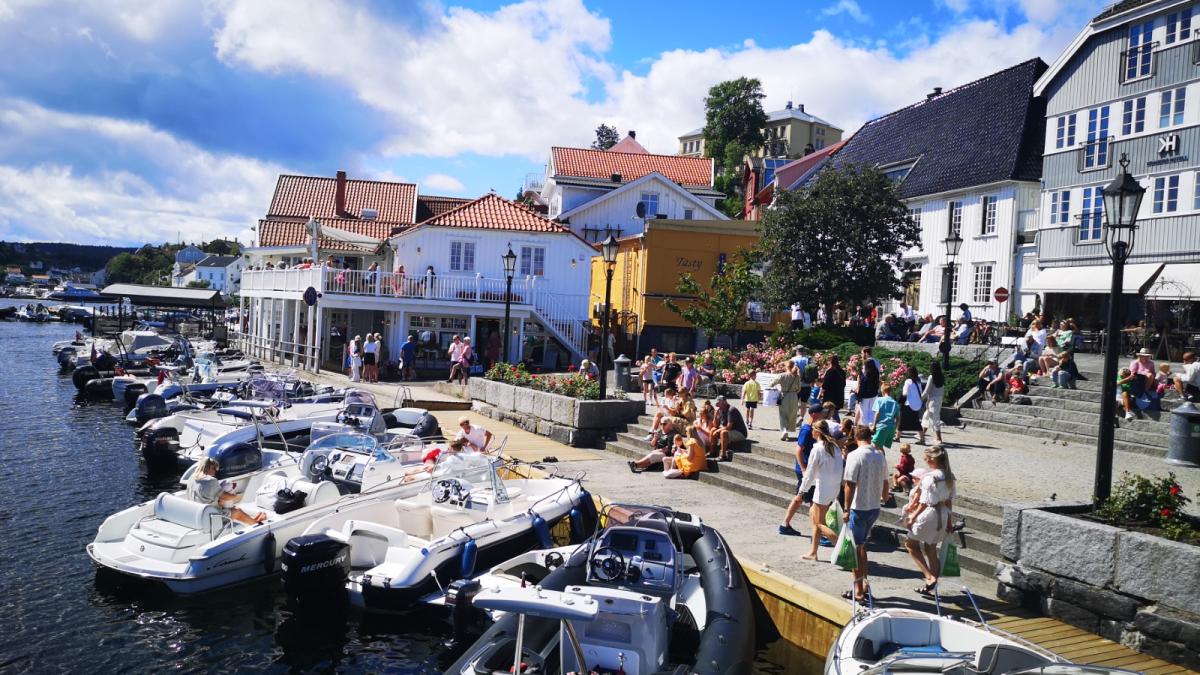 in-norvegia-e-nepoliticos-sa-vorbesti-tren-sau-autobuz_17117700