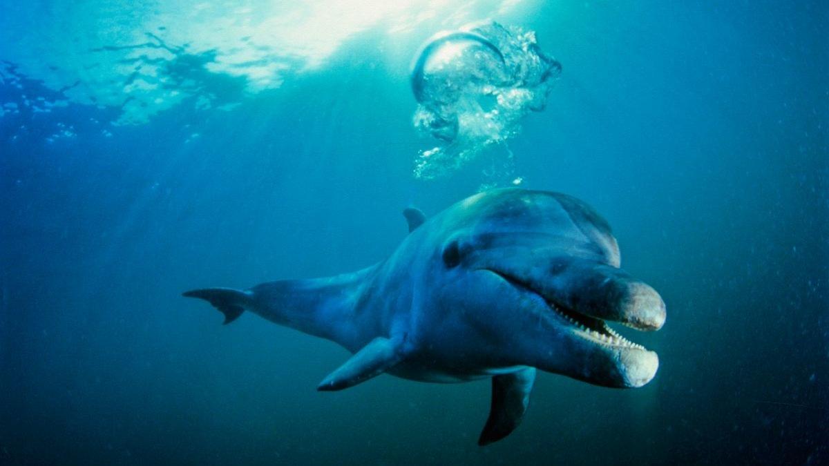 featured-image_27760900