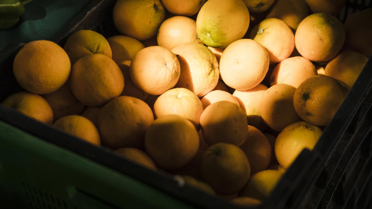 camion-portocale_02905800