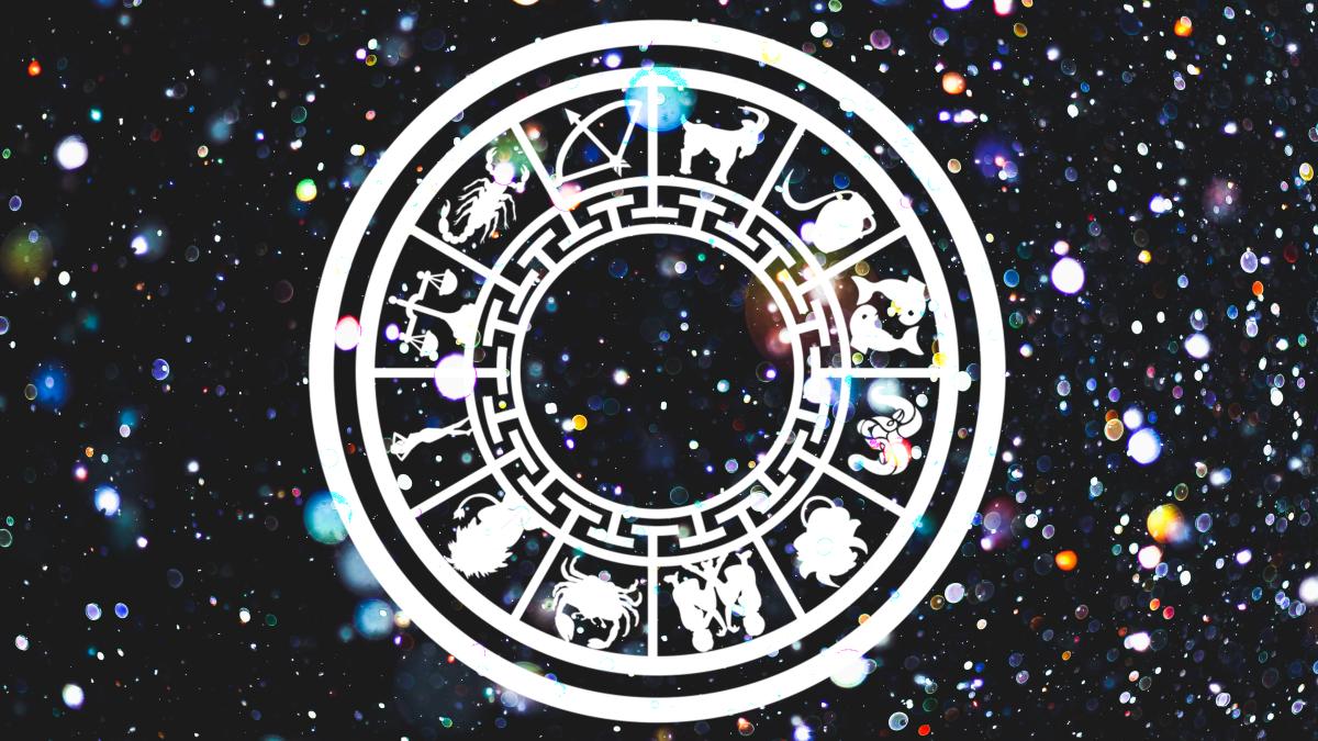 thor-alvis-sgrclkydw5g-unsplash