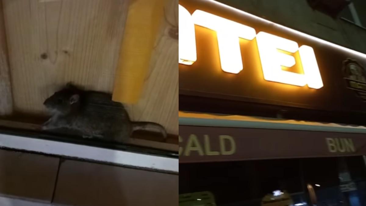 sobolan-matei_09150200