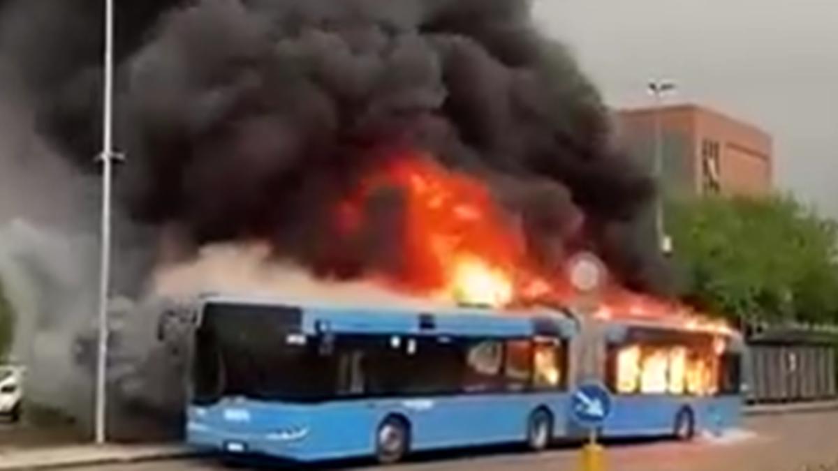 autobuz-in-flacari_47228200