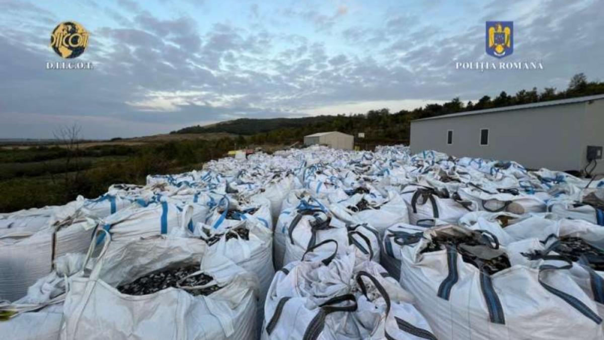 deseuri-firma-italia