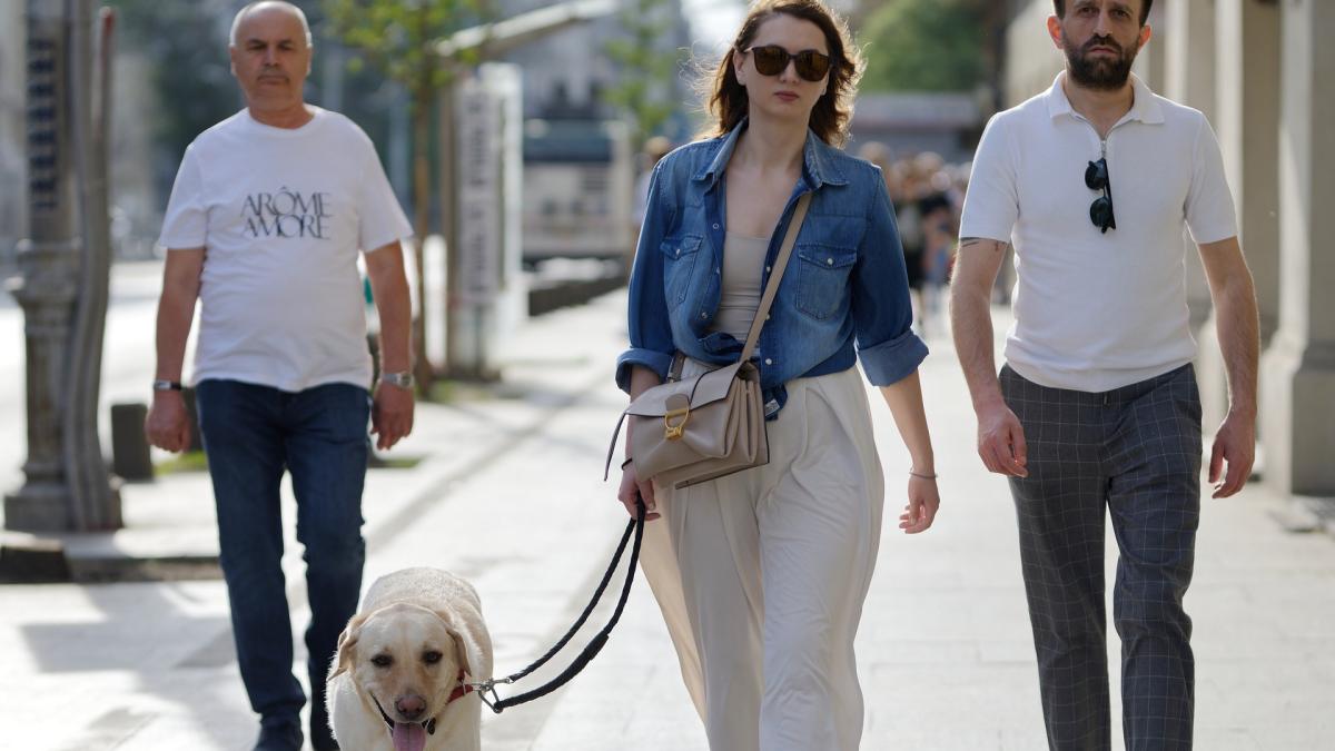 accesul-cainilor-la-sectiile-de-votare-din-italia--ministrul-de-interne-nu-impune-restrictii--insa-exista-cateva-reguli_17191500