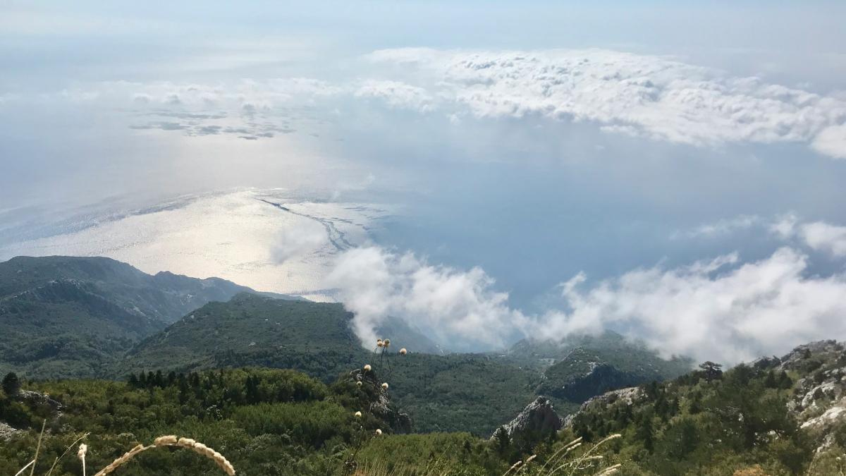 aleksei-simonenko-p7jfzs6jozk-unsplash_65982500