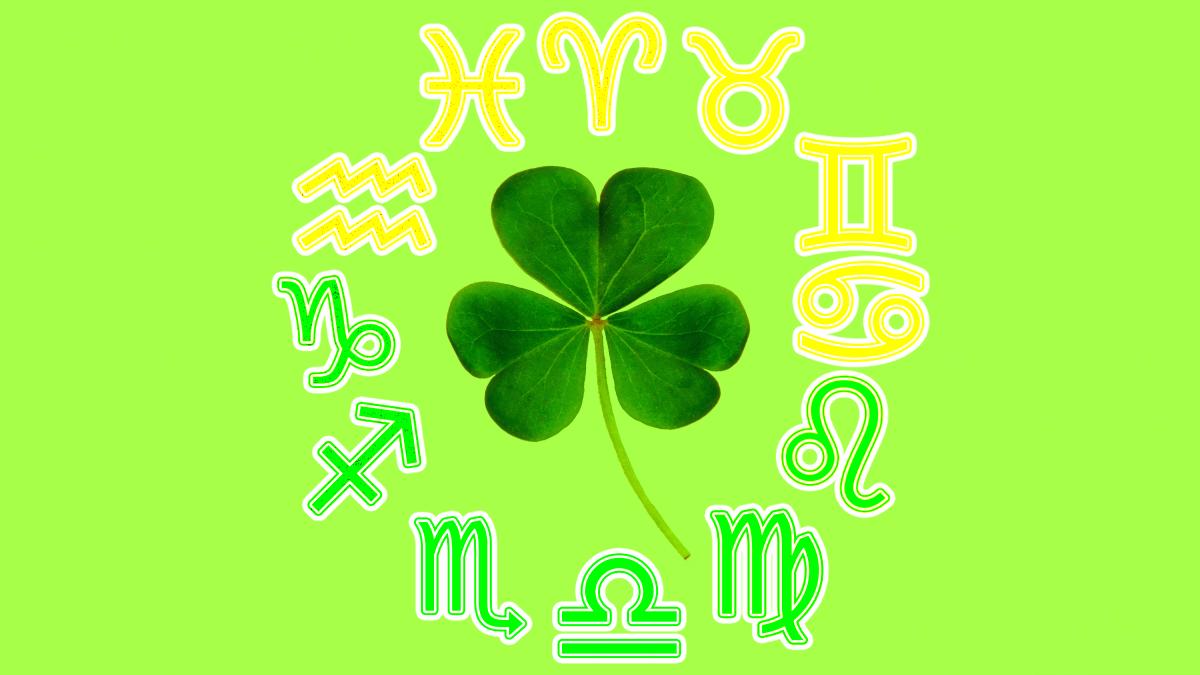 allec-gomes-jvmcnnh20ow-unsplash