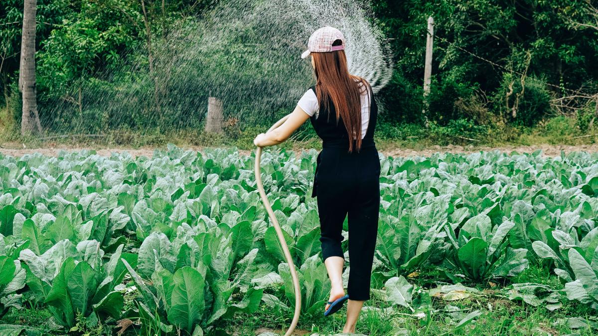 tony-pham-tv7m_tpmqhw-unsplash