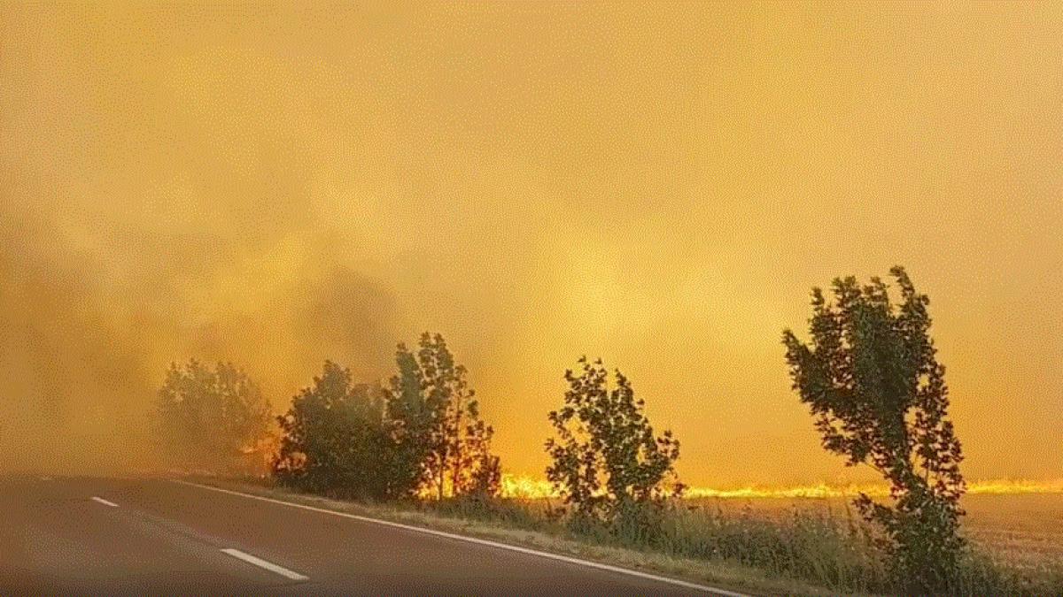 incendiu-puternic-de-vegetatie-in-teleorman--traficul-rutier--oprit-pe-ambele-sensuri