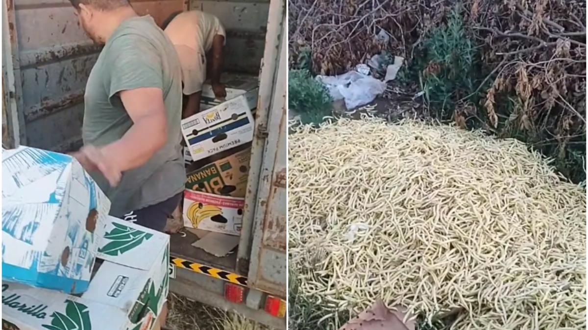 fermeri-romani-arunca-marfa-pe-camp_04550000