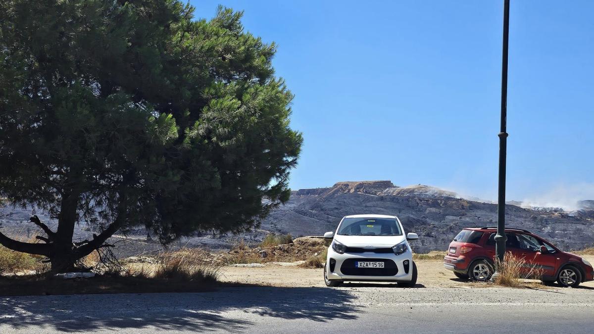 449681281_3519375354874325_8642696860351561631_n_81548700