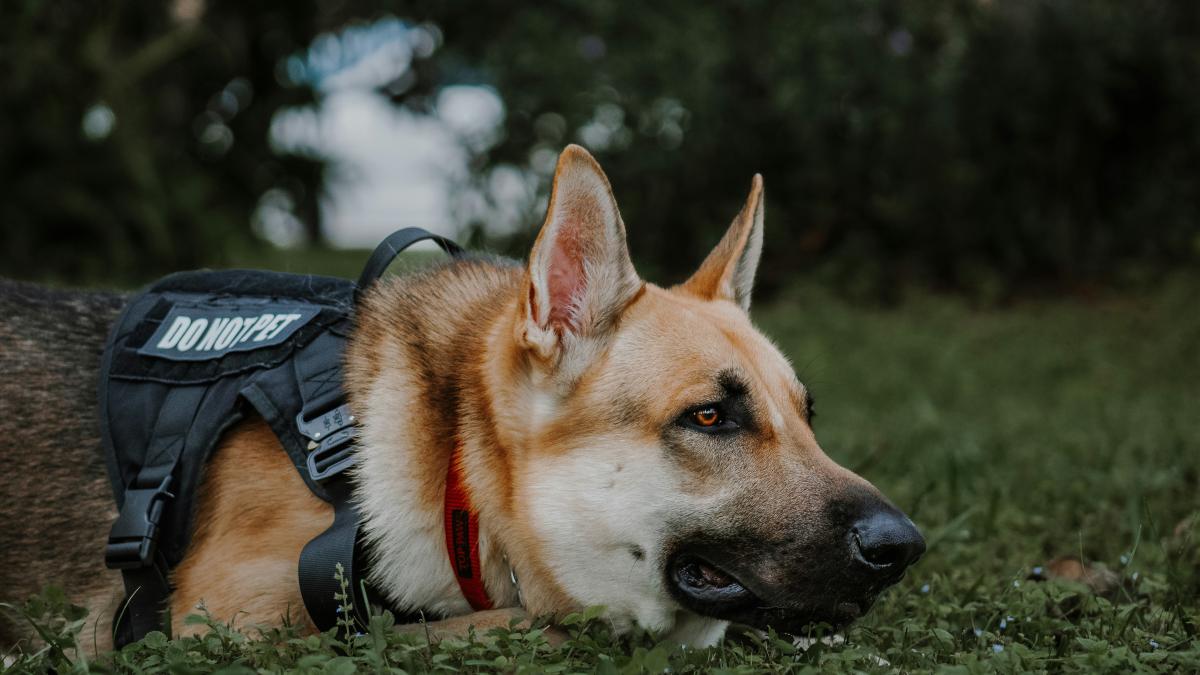 elianna-gill-pc3z4p8oxko-unsplash_22920100