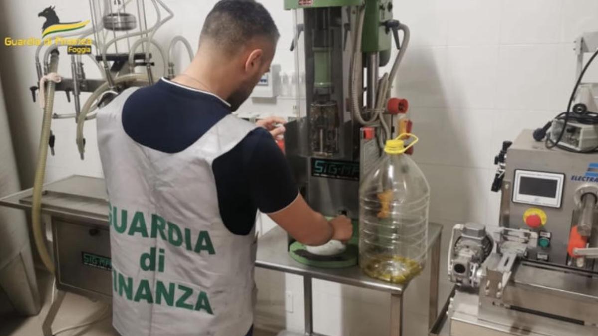 ulei-de-masline-extravirgin-falsificat-37-000-de-litri-confiscati-in-italia--galerie-foto_65513900