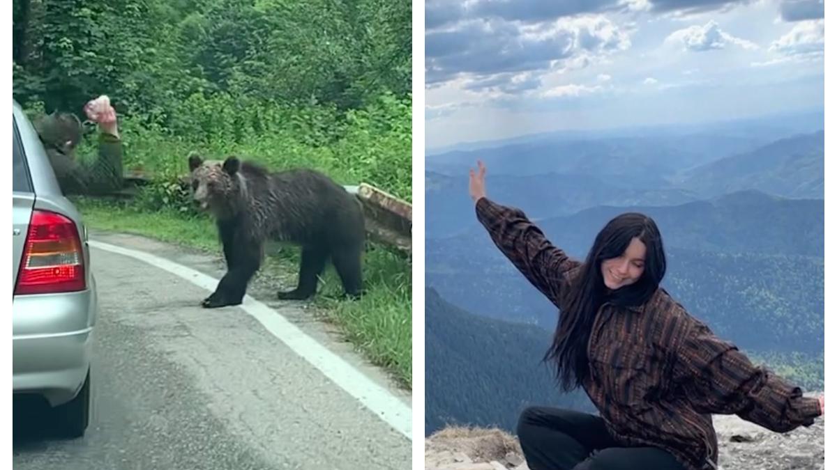 urs-diana-marii-jepii-mici_55988100