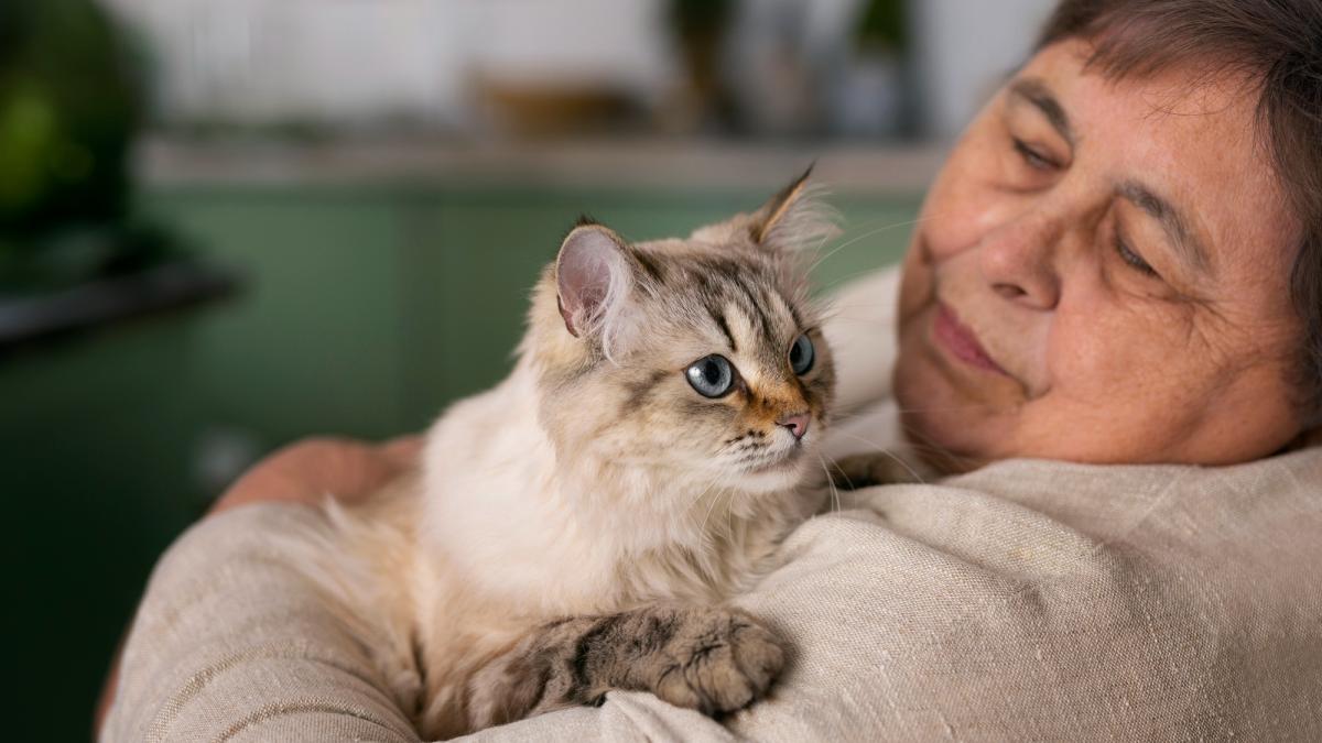 romanii-din-italia-cu-animale-de-companie-pot-beneficia-de-reduceri-fiscale-de-pana-la-550-de-euro-pentru-cheltuielile-veterinare_51446000