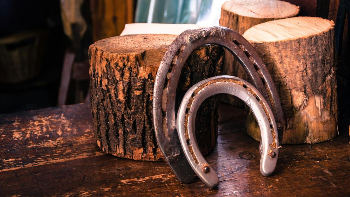 potcoava-unsplash_14222600