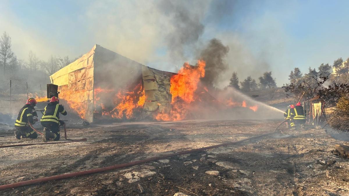 5b8f7df0-bc52-4c86-9a99-e9ddefe67c7a_30971900