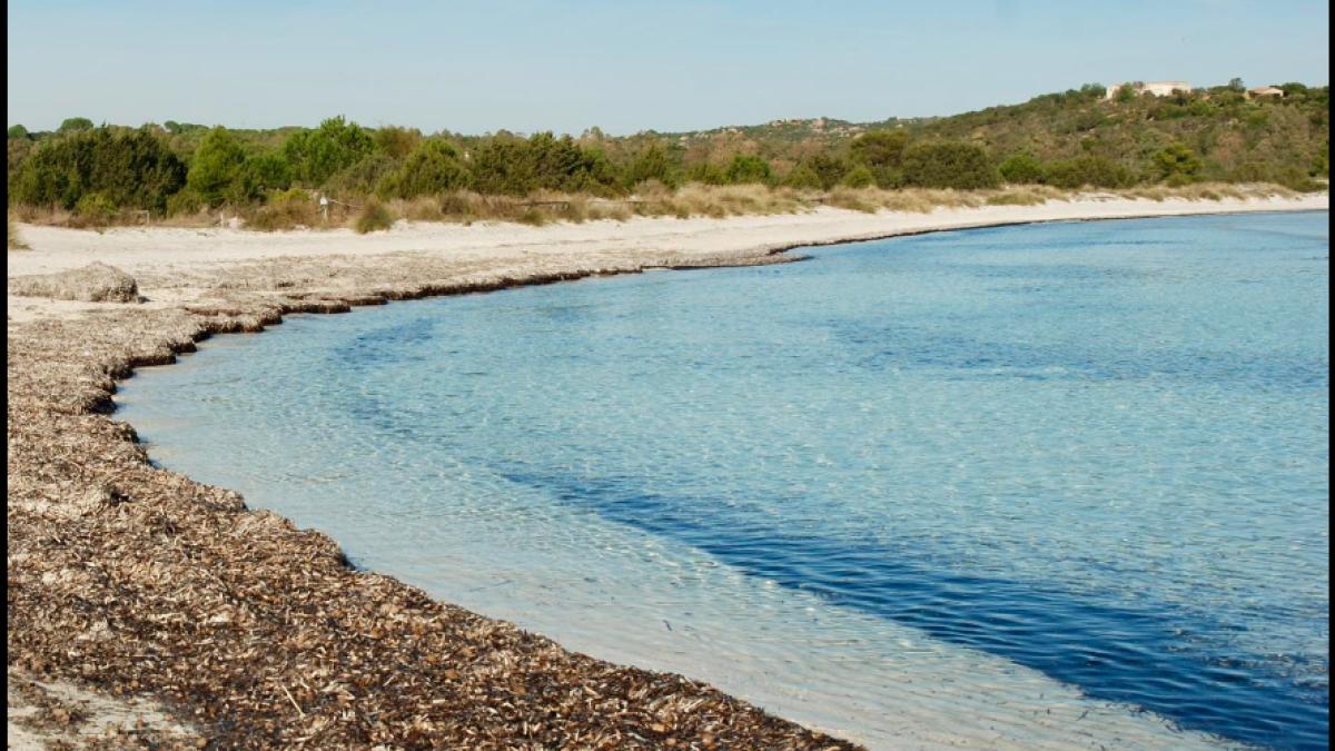 plaja-italia-fenomen-ciudat_32889800