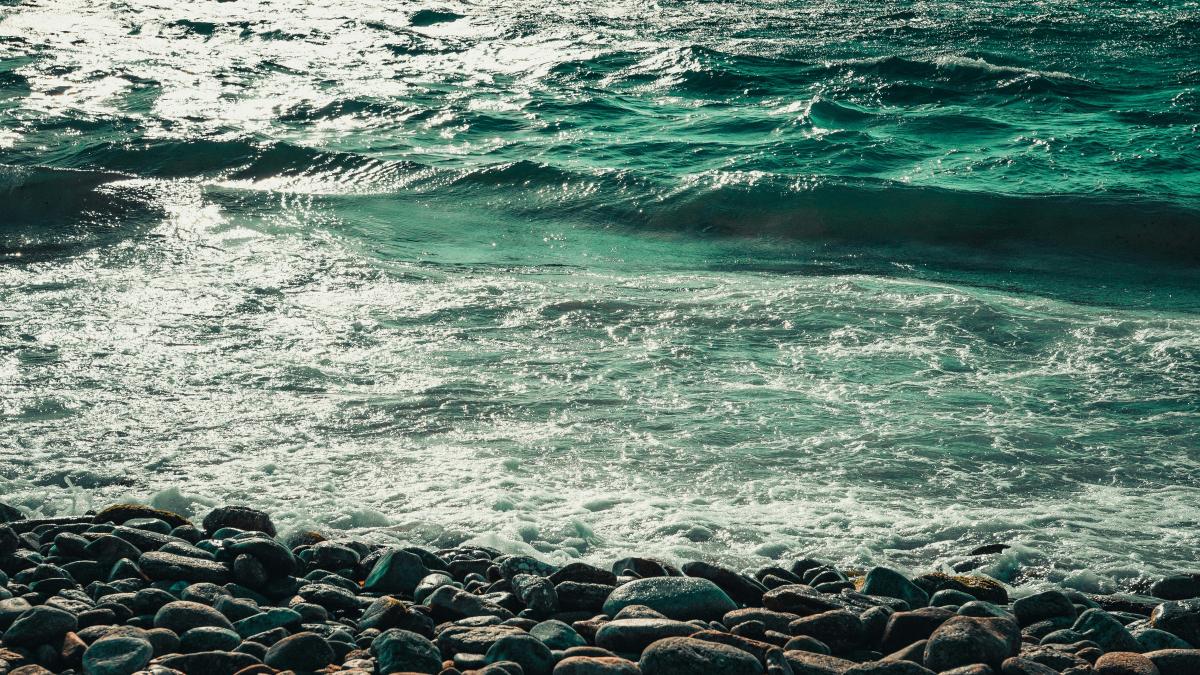 eean-chen-fzeksqwd_pq-unsplash_37361600