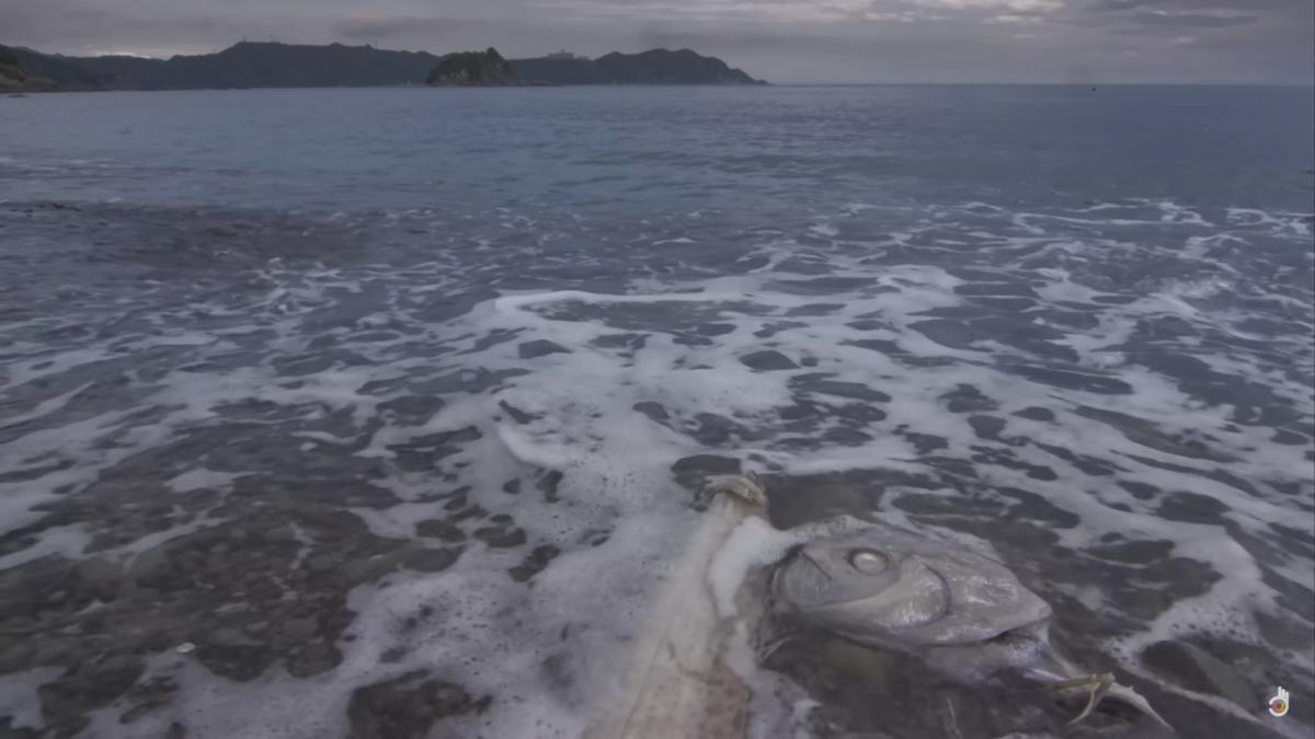 pestele-apocalipsei_50466200