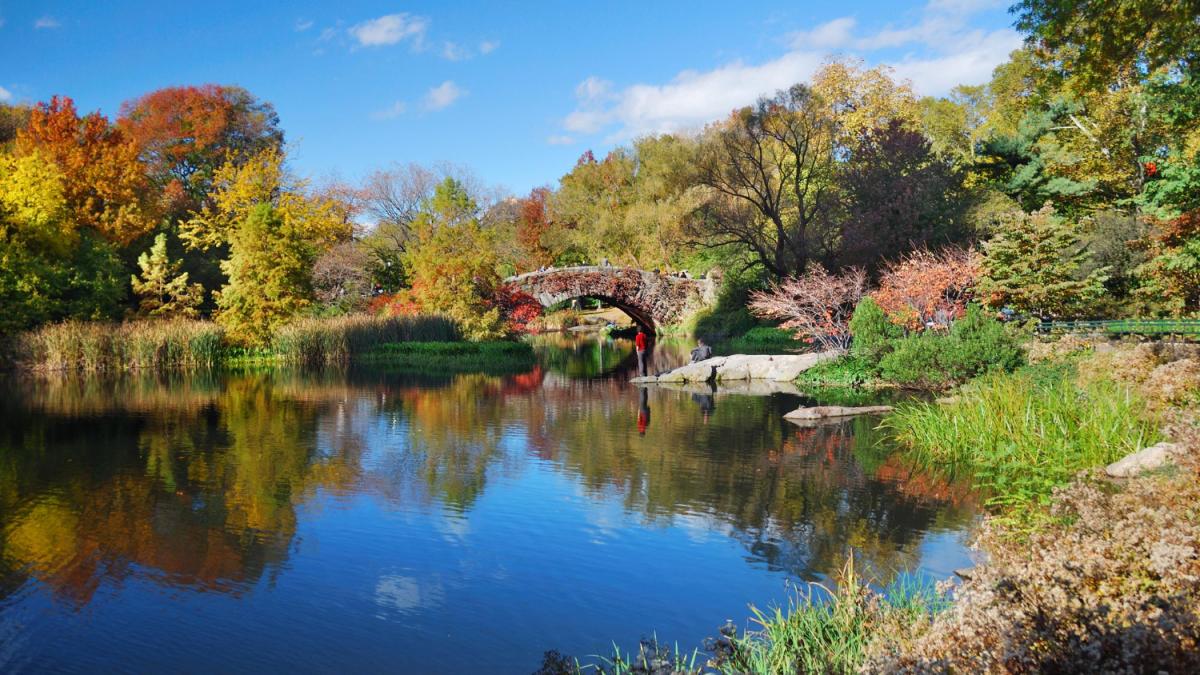 un-roman-nu-intelege-de-ce-nemtii-nu-ingrijesc-spatiile-verzi-o-fi-lipsa-de-bani-la-noi-sunt-tunse-la-milimetru_53889900