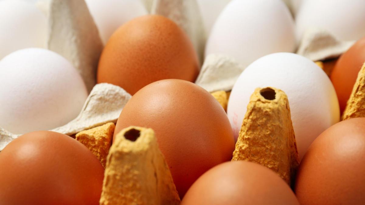 retragere-de-urgenta-opt-marci-de-oua-din-italia--afectate-de-salmonella_13596400