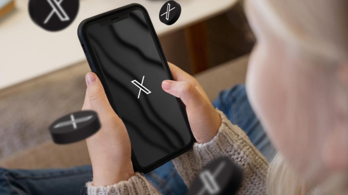 x-twitter_76712600_65631500