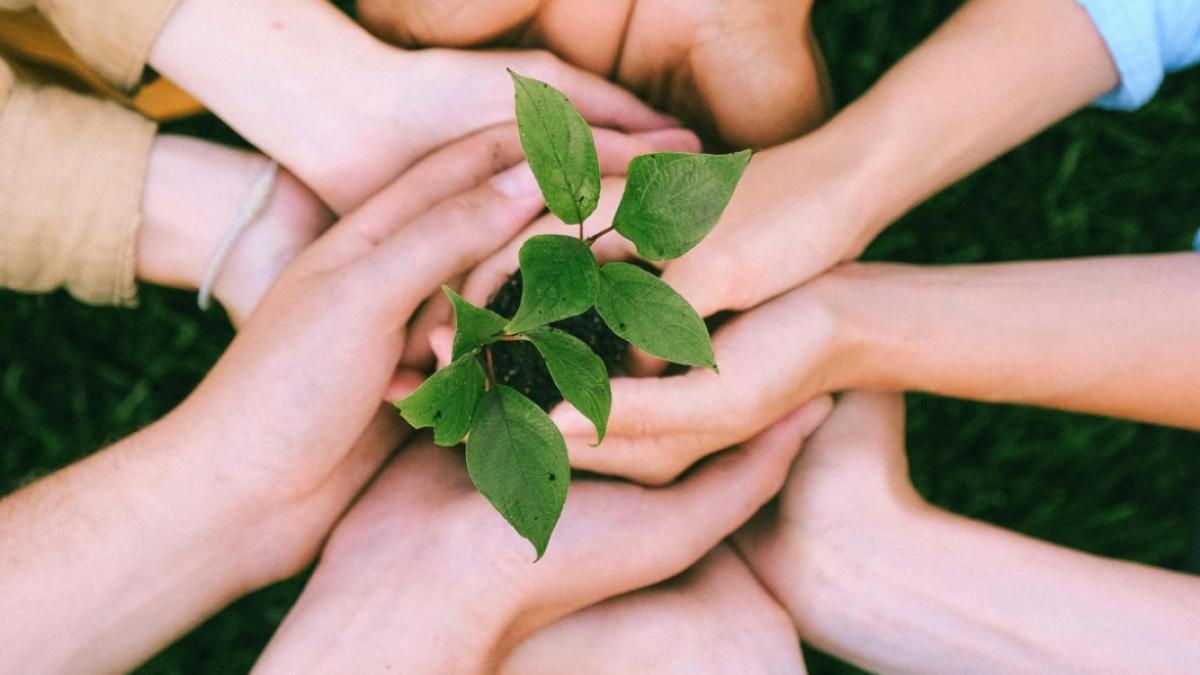 whatsapp-image-2024-10-11-at-11-59-43_55451700